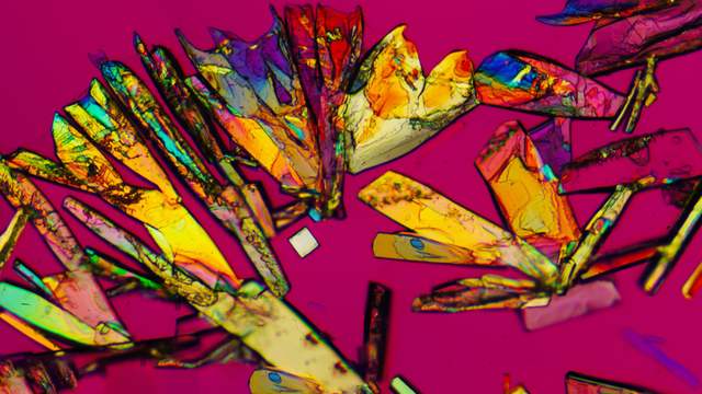 Long, flat crystals in yellow, orange and blue on a pink background, seen through a microscope.