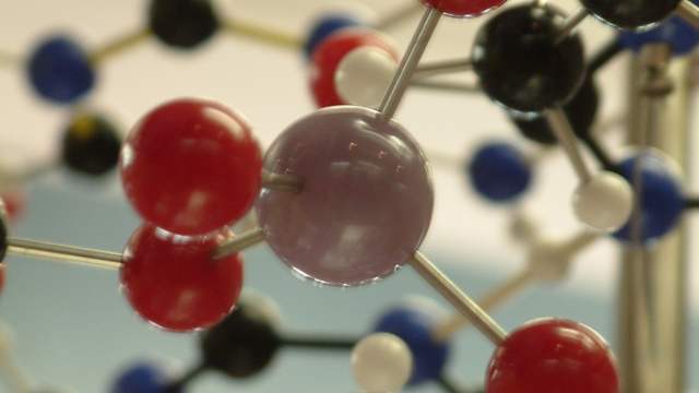 Close-up of a plastic molecule model: red, black, blue and white balls joined by thin metal rods.