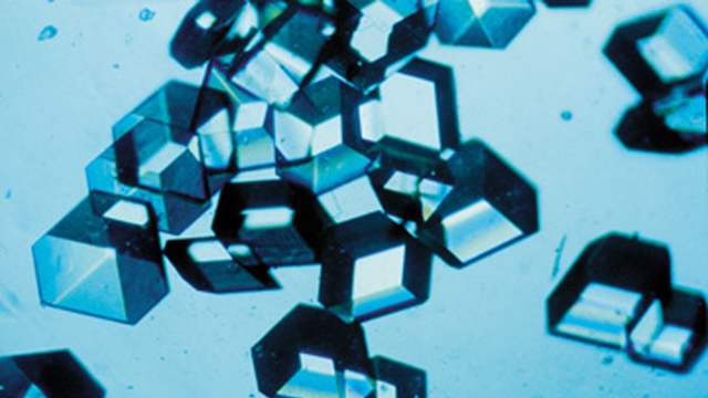 Clear crystals with many flat sides, some stacked together, on a pale blue background under a microscope.