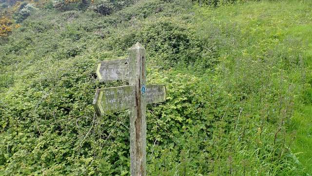 An old wooden signpost on a green hillside, with arms pointing along different paths.