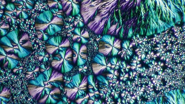 Vitamin B3 crystals under polarised light, forming blue, green and purple star-shaped patterns.